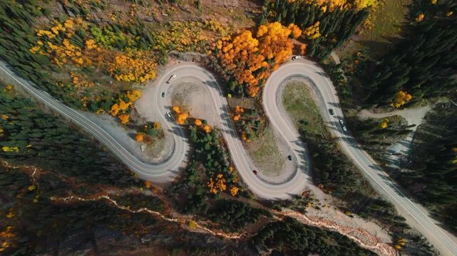 Aerial Top-Down View of Cars Driving on a Winding Mountain Switchback Road Surrounded by Yellow Autumn tree