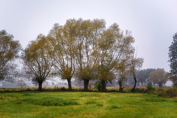 Magiczne kolory jesieni na Podlasiu, Polska © podlaski49