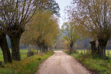 Magiczne kolory jesieni na Podlasiu, Polska © podlaski49