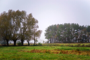 Magiczne kolory jesieni na Podlasiu, Polska © podlaski49