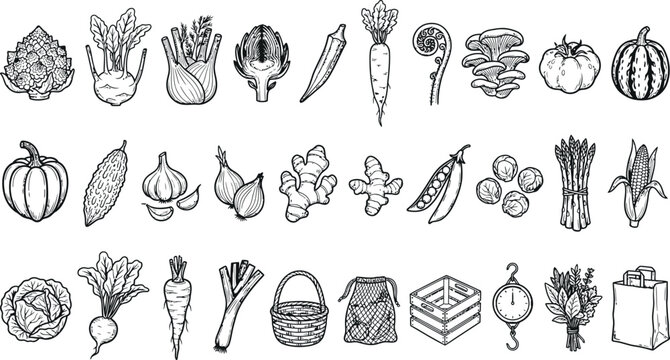 Collection of hand drawn fresh vegetable icons for healthy eating