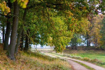 Magiczne kolory jesieni na Podlasiu, Polska © podlaski49
