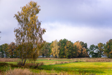 Magiczne kolory jesieni na Podlasiu, Polska © podlaski49