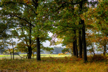 Magiczne kolory jesieni na Podlasiu, Polska © podlaski49
