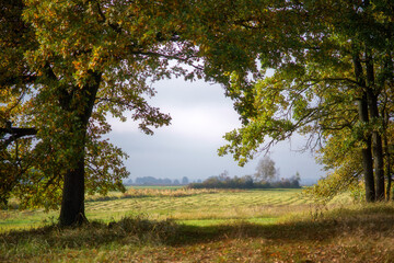Magiczne kolory jesieni na Podlasiu, Polska © podlaski49