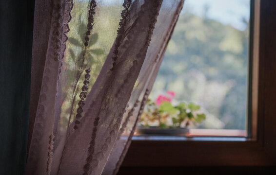 Cozy window with a soft curtain looking out at a blooming summer garden