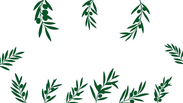 Green olive branch frame growing in from the edges with unfolding leaves and copy space on a white background