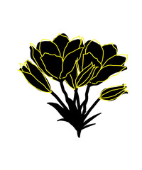 vector illustration of a flower Yellow Lis © Rayhan