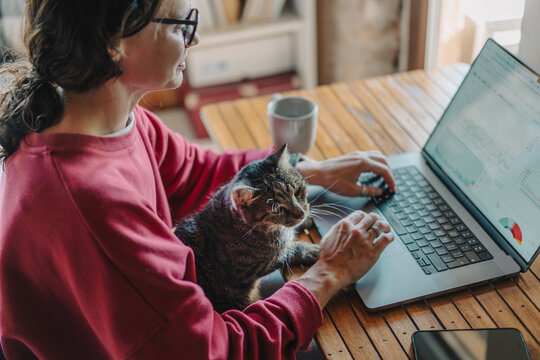 Young woman in glasses and red sweatshirt working from home on laptop with cat on lap