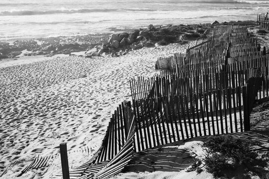 Black and white view of weathered wooden dune fences casting striped shadows across a sandy beach beside the ocean