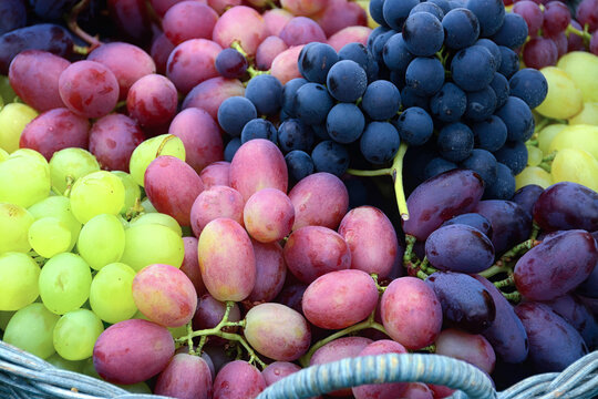 Fresh grapes in various varieties and colors