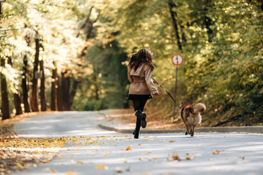 Woman walking with a dog along a sunlit tree lined road covered in autumn leaves, rear view with warm seasonal colors and wooded surroundings