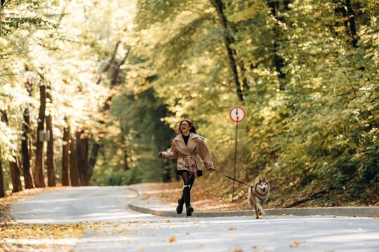 Woman walking a leashed dog along a sunlit paved road through a leafy forest with autumn foliage and dappled light, outdoor woodland scene