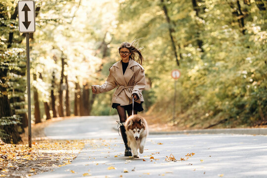 Woman walking a leashed dog along a tree lined road with fallen autumn leaves and directional traffic sign in a wooded outdoor setting