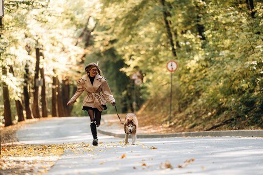 Woman walking a small dog on a tree lined paved path with autumn leaves and warm sunlight in a peaceful outdoor scene