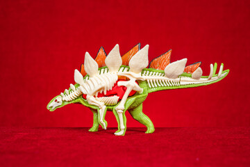 Stegosaurus anatomical model showing skeleton and internal organs © Freer