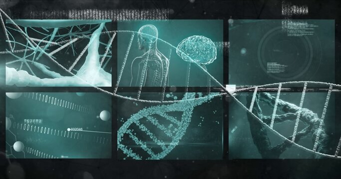 Displaying DNA double helix crossing biomedical dashboard panels, showing brain silhouette, neuron