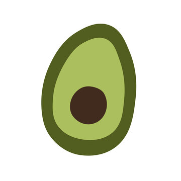 avocado vector illustration