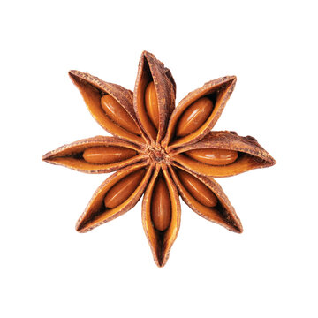 star anise spice on isolated background, badian seed close-up