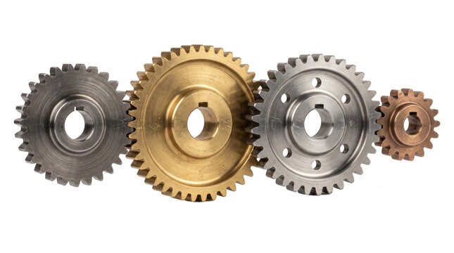 Assorted metal spur gears aligned in row.