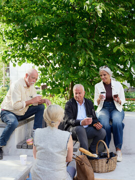 Group of four senior friends having casual conversation during outdoor picnic
