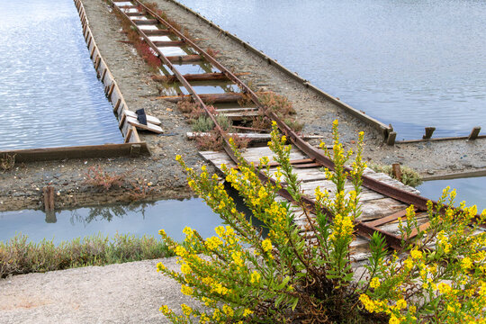 Salt transportation tracks of Piran saltworks, Strunjan, Slovenia