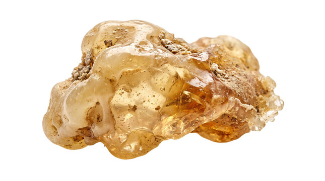 Raw amber resin nugget with inclusions and isolated on transparent png