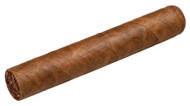 Tobacco leaf cigar isolated on transparent background