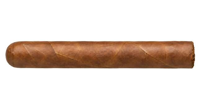 Tobacco leaf cigar isolated on transparent background