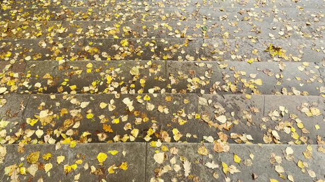 POV walkthrough of an empty stone staircase, shot on stabilizer in Pavlovsk Park, Russia, slow motion. Smooth forward camera motion evokes a serene, peaceful, and nostalgic autumn mood
