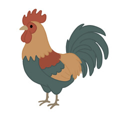 Cute cartoon rooster standing, minimalist colorful farm chicken vector illustration isolated on black background © Se Ana
