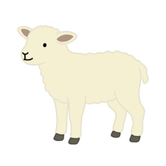 Cute cartoon baby lamb standing, minimalist white sheep farm animal vector illustration isolated on black background © Se Ana