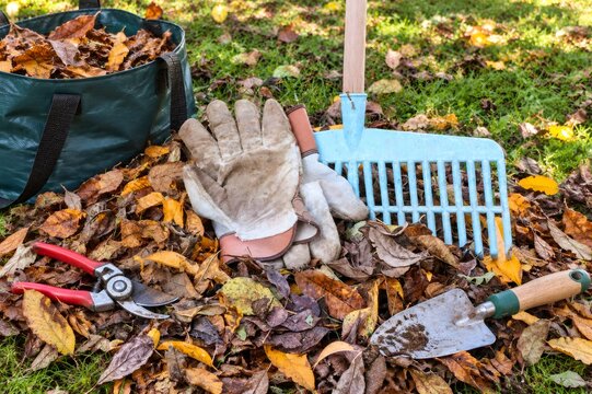 Autumn garden cleanup tools among fallen leaves