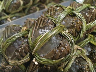 Fresh hairy crabs bound with straw ropes ready for cooking © zhu difeng