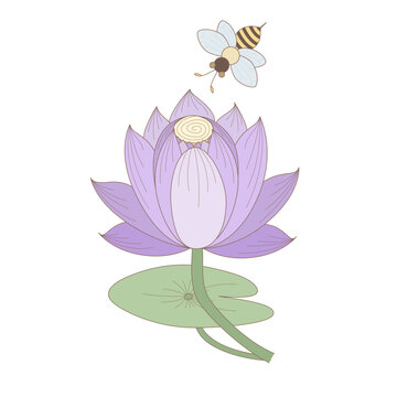 Pastel purple water lily with bee in Thai ornamental style. Soft lavender blooming flower with lily pad, vector isolated on transparent background.