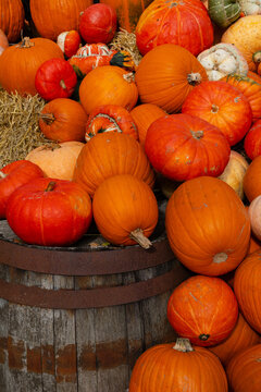K&uuml;rbiszeit-Halloween