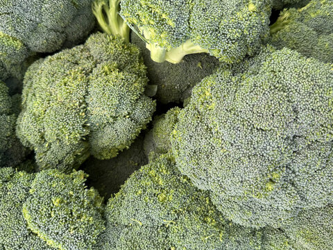 fresh broccoli close up display on the market