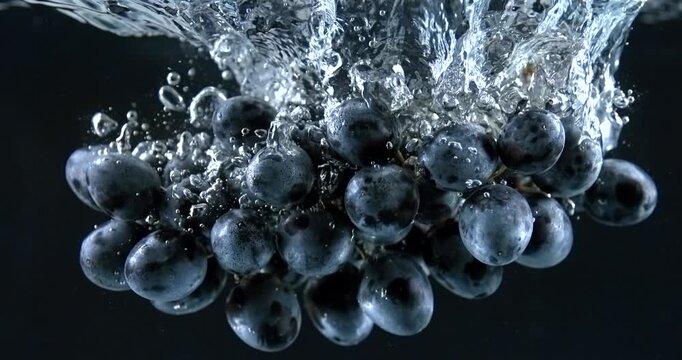 Blue grape bunch falling into water with splash on black background