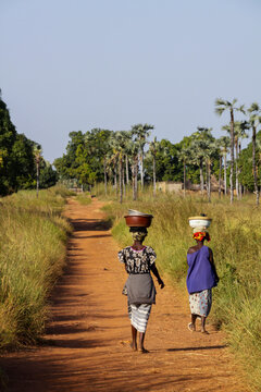 Two women carrying basins on their heads walking along a dirt path lined with palm trees, Cascades Region, Banfora, Burkina Faso