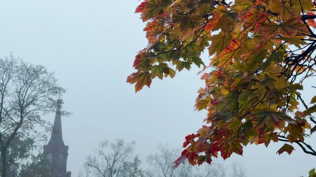 Colorful autumn maple leaves framing a distant church spire glowing through misty morning fog in Pushkin, Russia. The quiet atmosphere inspires a sense of peaceful nostalgia and calm.