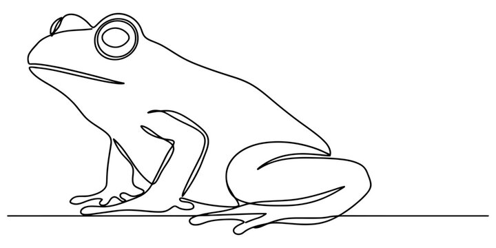 Minimalist continuous line art frog vector drawing featuring simple black stroke on white background for nature designs.