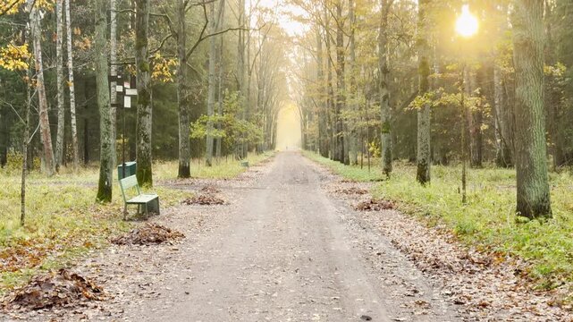 A peaceful path winds through autumn trees at Pavlovsk Park, Russia. Sunlight softly glows, evoking a calm and serene feeling during a slow motion, tilt shot.