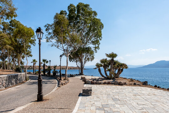 A paved coastal walkway flanked by tall eucalyptus trees, palm trees, and cactus vegetation curves alongside the vibrant blue sea under a clear sunny sky on Aegina Island, Greece.