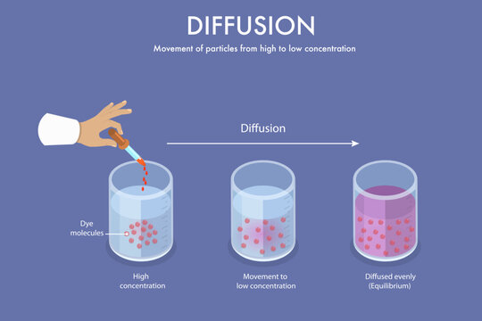 3D Isometric Flat Vector Illustration of Diffusion, Physical Process