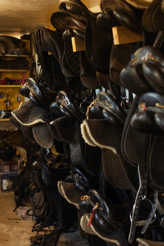 Leather horse saddles hanging in rows at rural equestrian stable