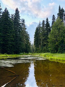 Small alpine lake and old growth forest along the Pacific Crest Trail
