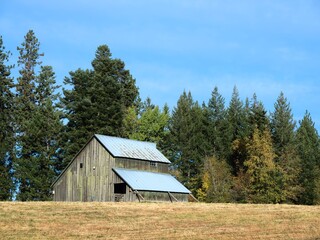 Old barn on a bright day. © Gregory Johnston