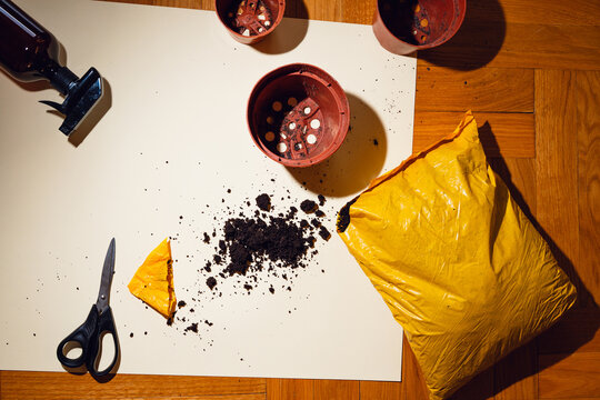Repotting Supplies at Home