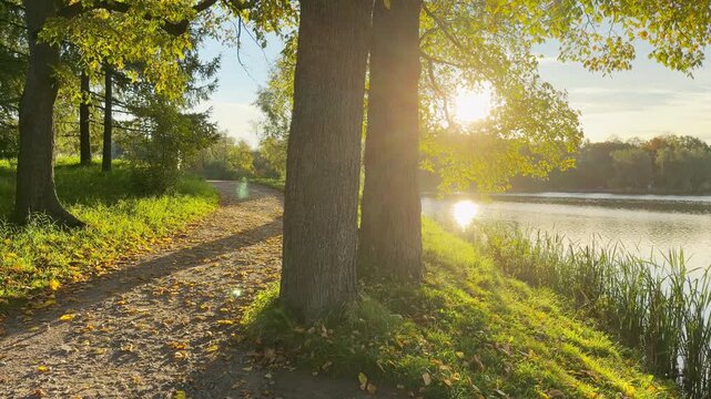 POV walkthrough of an empty Catherine Park, Pushkin, Saint Petersburg. Smooth forward camera motion reveals a peaceful, serene lake path, creating calm, relaxing feelings.