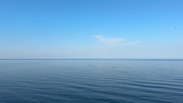 Calm sea, blue sky and flying swallows.
